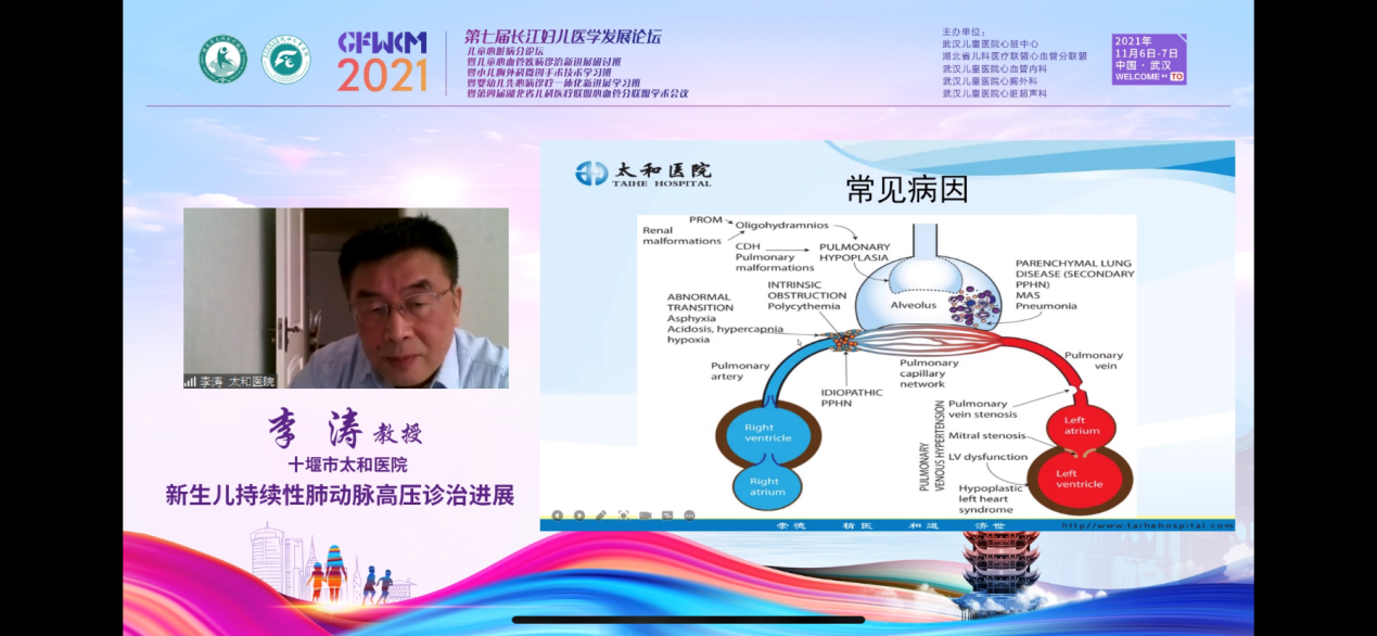 图片12.png